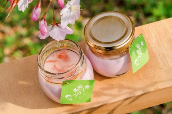 高知プリン亭からお花見のお供にぴったりの春商品が新登場！とろ～りなめらか、一口で春が広がる「さくらプリン」とパステルカラーのトッピングがかわいい「さくらさくソフトクリーム」