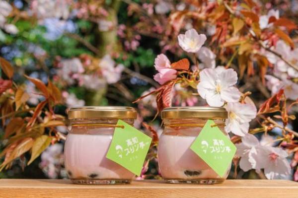 高知プリン亭からお花見のお供にぴったりの春商品が新登場！とろ～りなめらか、一口で春が広がる「さくらプリン」とパステルカラーのトッピングがかわいい「さくらさくソフトクリーム」