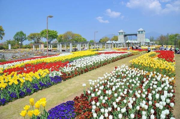 ぐんまフラワーパーク、360度チューリップに囲まれて春を感じる「チューリップフェスタ」を4月2日から開催
