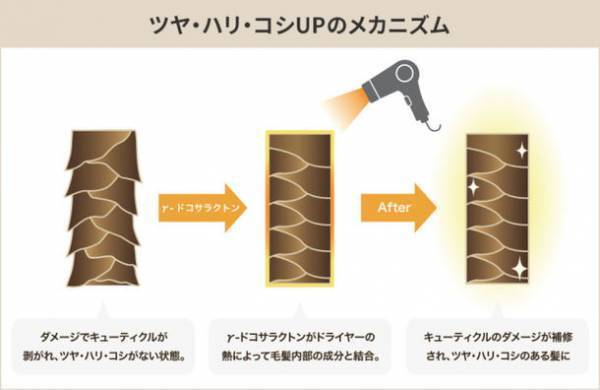 フカイ工業の新しいヘアケアブランド「+GLOSSiMO」よりヒートケア成分を配合した4アイテムをリリース