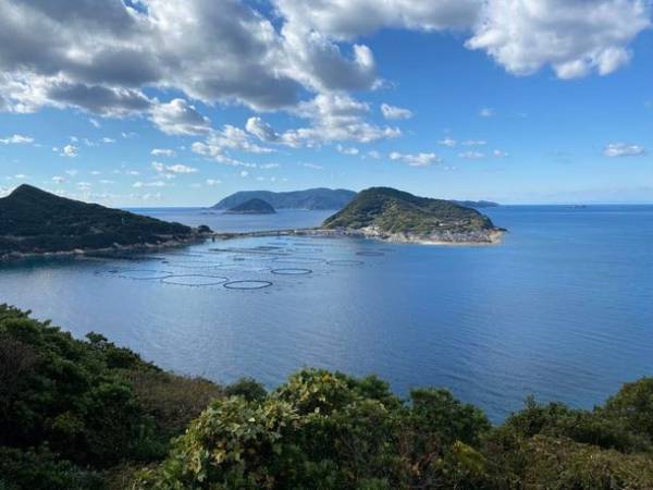 高知県西南部の「SDGs」体験観光がエコツーリズム大賞「特別賞」を受賞！自然体験を含む学習として修学旅行ニーズが急増