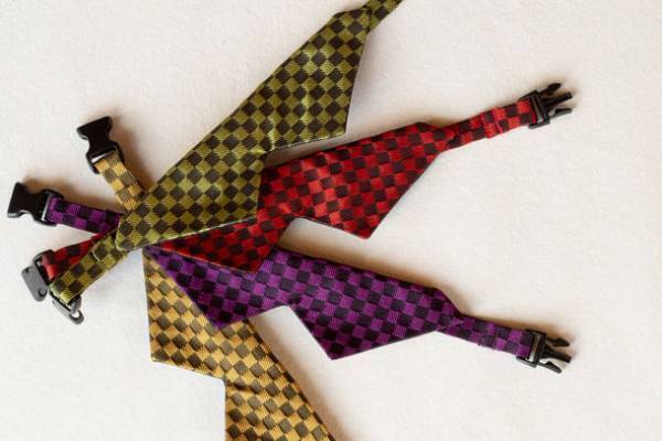 和風猫首輪専門オンラインショップ「miaco」、伝統ある西陣織を使用した猫首輪を4月1日に発売！