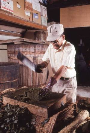 高知の一押し！「土佐あかうし」を味わえる「さめうらバーベキューテラス」が営業を再開