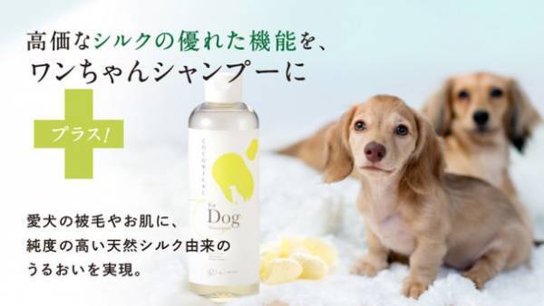 みどりまゆシルク配合、愛犬と飼い主の肌にやさしい低刺激「COCONICAL犬用シャンプー」を4/5より一般販売開始