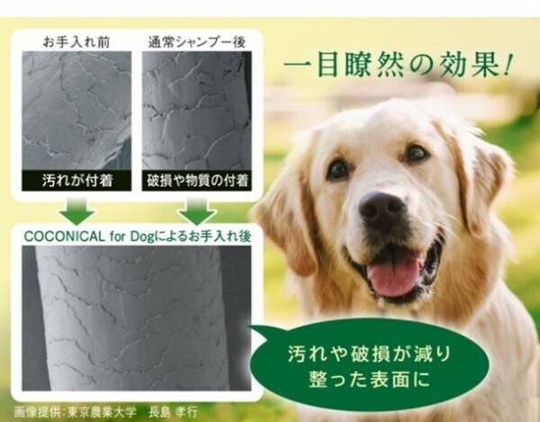 みどりまゆシルク配合、愛犬と飼い主の肌にやさしい低刺激「COCONICAL犬用シャンプー」を4/5より一般販売開始