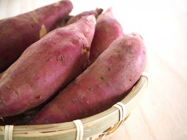 千葉県多古町発の自慢の品々が購入できるECサイト「多古町商店」を4月1日(金)12:00にオープン！