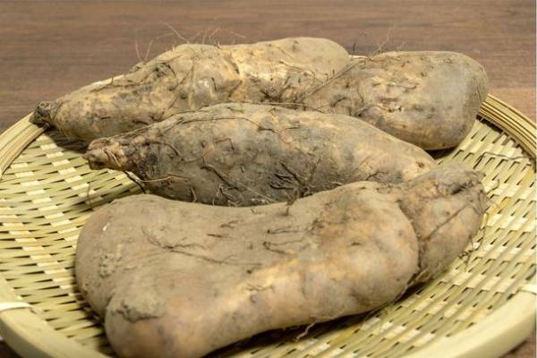 千葉県多古町発の自慢の品々が購入できるECサイト「多古町商店」を4月1日(金)12:00にオープン！