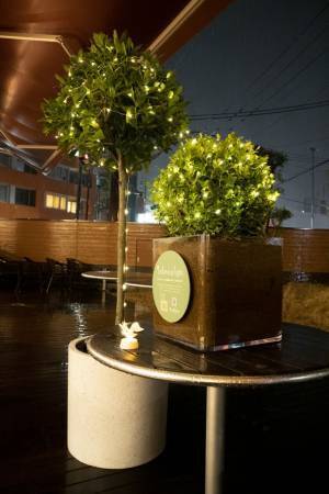 植物発電 botanical light、2022年3月26日より調布市内で展示開始　時間・気候に関係なく半永久的な発電が可能