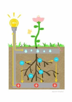 植物発電 botanical light、2022年3月26日より調布市内で展示開始　時間・気候に関係なく半永久的な発電が可能