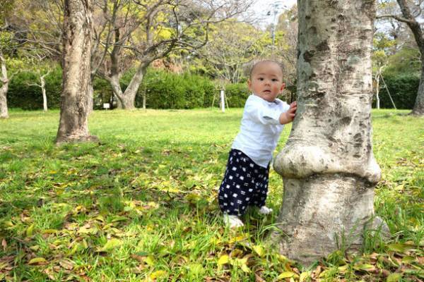 長く使える！綿100％の久留米絣を使用した赤ちゃん用もんぺ“もんぺっぺ”　簡単にサイズ調整できるよう4月からリモデル！