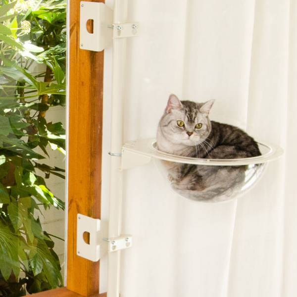 「窓枠取り付け型キャットタワー ねこゴロン」　オプションパーツ5種を新発売！