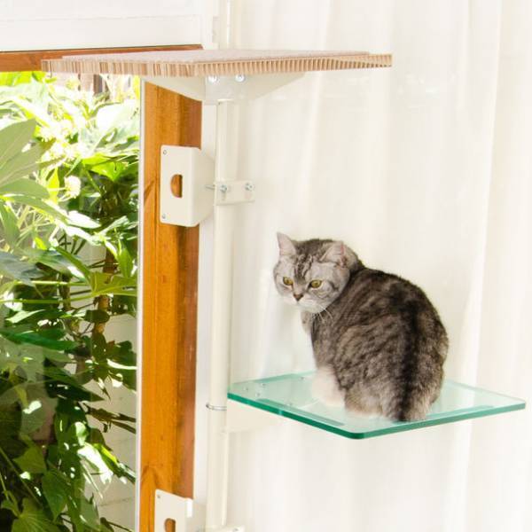 「窓枠取り付け型キャットタワー ねこゴロン」　オプションパーツ5種を新発売！