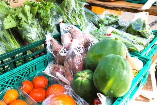 京都宇治ならではの抹茶メニューや特別コラボイベントが盛りだくさんのマルシェ『いたやのマーケット』が4月24日に1日だけの特別開催！