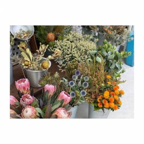 京都宇治ならではの抹茶メニューや特別コラボイベントが盛りだくさんのマルシェ『いたやのマーケット』が4月24日に1日だけの特別開催！