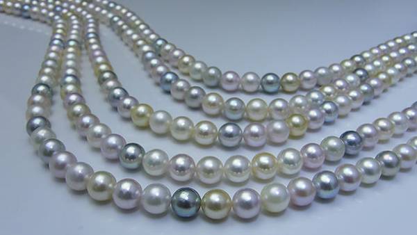 10年がかりで集めた「あこや真珠ファンシーマルチカラー」でウクライナ難民を支援！Makuakeにてプロジェクト開始