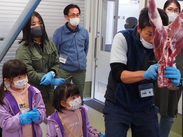 大槌ジビエソーシャルプロジェクト発　「ジビエを通じて命を学ぶ」大槌ジビエツーリズムの開催決定