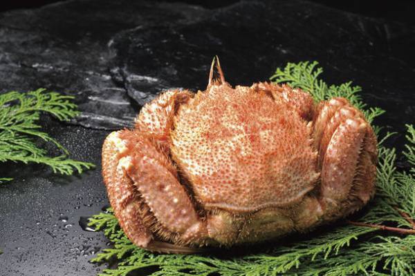 愛する北海道をおトクに巡ろう！ご利用は2022年4月15日から　ドラ割「HOKKAIDO LOVE! 道トクふりーぱす」4月5日販売開始　-道内高速道路が乗り放題　2日間 8,000円～7日間 13,700円-