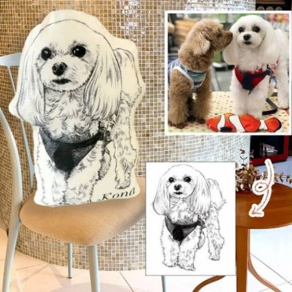 ペットのオリジナルグッズを制作する「Petomo(ペトモ)」が「うちの子」の写真を手描きイラストクッションにするサービスを開始