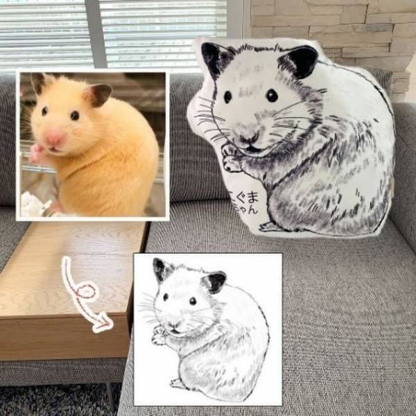 ペットのオリジナルグッズを制作する「Petomo(ペトモ)」が「うちの子」の写真を手描きイラストクッションにするサービスを開始
