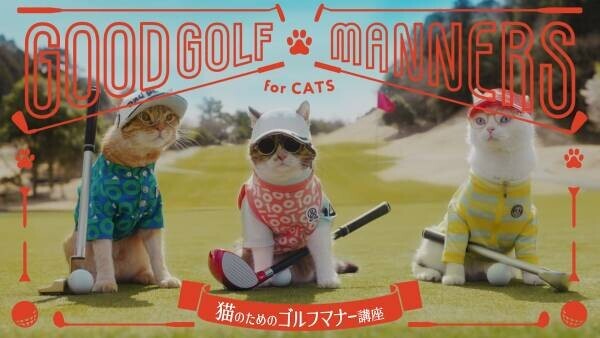 スポーツウエアブランド「アンパスィ」10周年記念。かわいい猫ゴルファーに悶絶!?自由すぎるゴルフマナー動画「猫のためのゴルフマナー講座」公開。ゴルフウエア姿で“猫版NGマナー”を実演！しっぽでカップイン、ミスショットに「ニャー(ファー)」など。