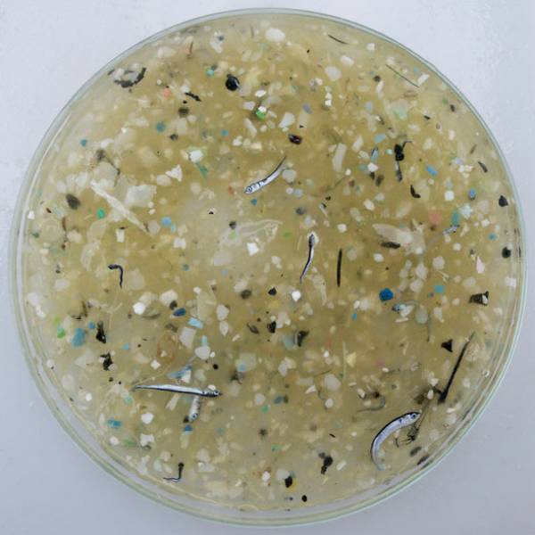 アニエスベー、「京都国際写真祭 KYOTOGRAPHIE 2022」をサポート