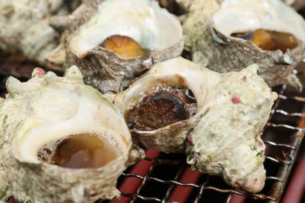 恒例のクラフトビールを楽しむ祭典が3年ぶりの開催　「2022けやきひろば春のビール祭り」5月12日から開催