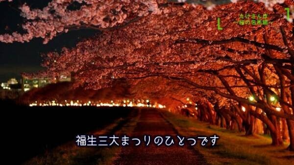 「たっけー☆☆と巡るたけさんぽ～桜の名所編～」を公開しました！