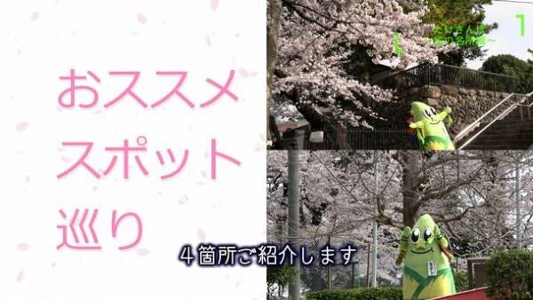 「たっけー☆☆と巡るたけさんぽ～桜の名所編～」を公開しました！