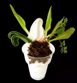 全国共通商品券が当たる！“道の駅しなの”にて季節の食材を使用した「旬のソフトクリーム」スタンプラリーを4月から開催！