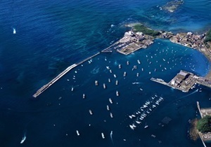 マリーナのフォトウェディング　