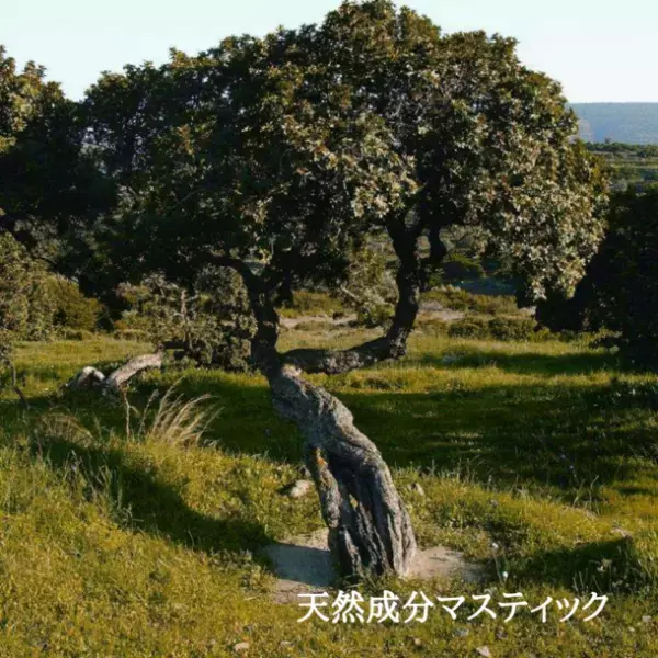 歯みがき嫌いのワンちゃんネコちゃんに！ごはんにかけるだけの簡単口臭ケア「ペットハピネス口腔ケアサプリ」が4月11日に新発売