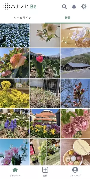 ～自分らしく、ここちよく、花やみどりのある暮らしを楽しむ～「ハナノヒ Be」　誕生写真投稿でつながる新コミュニティアプリ、4月11日（月）提供開始