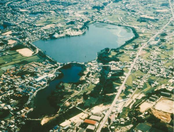 大阪桜の名所を動画花見なんてどうでしょう！in 狭山池