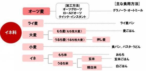 栄養価で注目の、世界的にも需要が増える“オーツ麦”の賢い摂り方　～グラノーラやオートミールを食べている人の半数がオーツ麦を知らないことが判明～　専門家も推奨する、ワンボウルで3役担うグラノーラの魅力とは