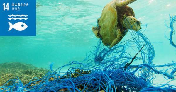 廃棄漁網をリユースしたサステナブルな丸亀うちわ「REFINE」4月22日アースデーから世界へ発信！“今欲しい、一生もの”