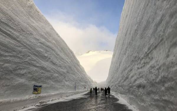 富山県と長野県とを結ぶ「立山黒部アルペンルート」、2022年の「雪の大谷」の高さは18メートル！