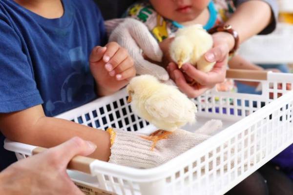 【累計来場者数74万人突破】京セラドーム大阪にペットが大集合！！2022年GWは「みんな大好き!!ペット王国」へ行こう！