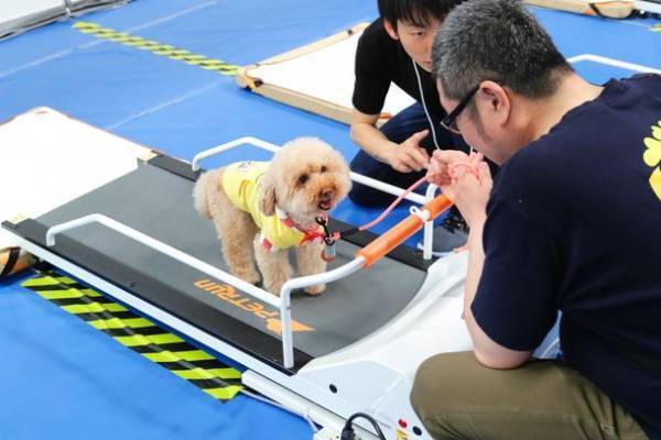 【累計来場者数74万人突破】京セラドーム大阪にペットが大集合！！2022年GWは「みんな大好き!!ペット王国」へ行こう！