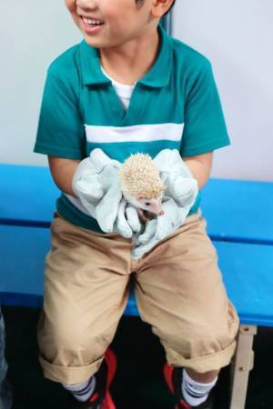 【累計来場者数74万人突破】京セラドーム大阪にペットが大集合！！2022年GWは「みんな大好き!!ペット王国」へ行こう！