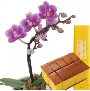 Qoo10人気「二つ折り財布」ランキング　財布の新調に最適なタイミング！コンパクトで機能性に優れたブランド財布が人気