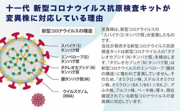 新型コロナウイルス抗原検査キット 唾液検査タイプ研究用をAmazonで2022年4月より販売開始！