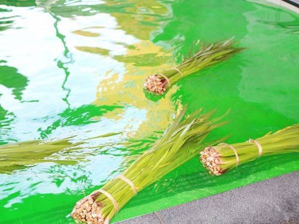 極楽湯、5月5日「こどもの日」に伝統文化の『菖蒲湯』実施！　各店でお子様向けのイベントやプレゼント企画も同時に開催