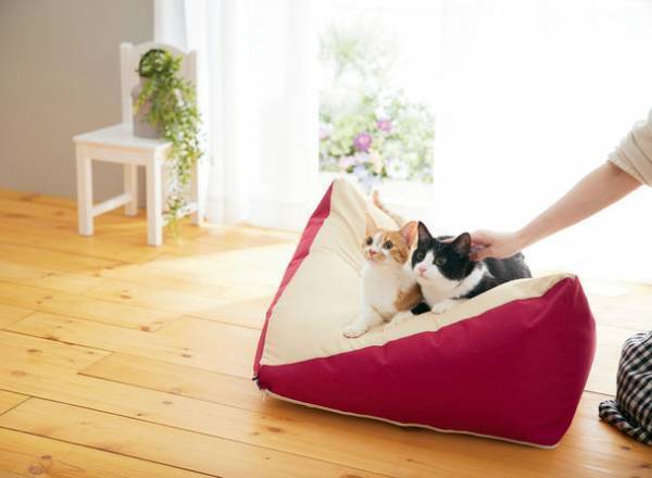 もっちり×ふんわり、犬猫が寝転がってくつろげる大きめサイズのクッション2タイプを販売開始　～ 飼い主さんも一緒に座って過ごせる！ ～
