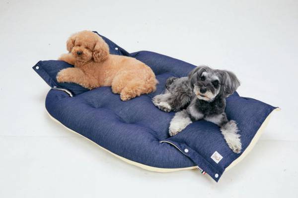 もっちり×ふんわり、犬猫が寝転がってくつろげる大きめサイズのクッション2タイプを販売開始　～ 飼い主さんも一緒に座って過ごせる！ ～