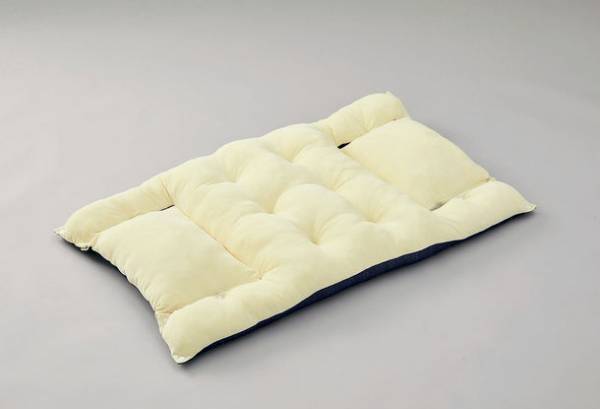 もっちり×ふんわり、犬猫が寝転がってくつろげる大きめサイズのクッション2タイプを販売開始　～ 飼い主さんも一緒に座って過ごせる！ ～