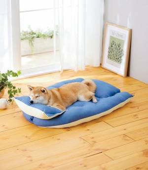 もっちり×ふんわり、犬猫が寝転がってくつろげる大きめサイズのクッション2タイプを販売開始　～ 飼い主さんも一緒に座って過ごせる！ ～