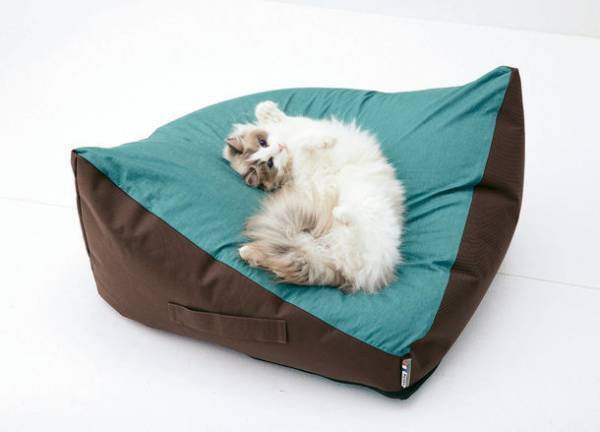 もっちり×ふんわり、犬猫が寝転がってくつろげる大きめサイズのクッション2タイプを販売開始　～ 飼い主さんも一緒に座って過ごせる！ ～