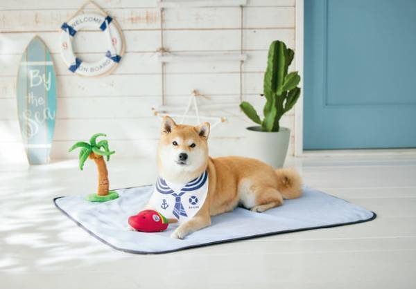 写真映えするクールアイテム！夏用マット＆夏用おもちゃのセットが限定で新発売