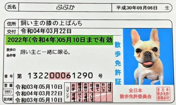 わんちゃんの情報が1枚にまとまったカード『散歩免許証』をリリース！