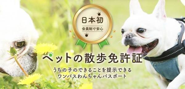 わんちゃんの情報が1枚にまとまったカード『散歩免許証』をリリース！